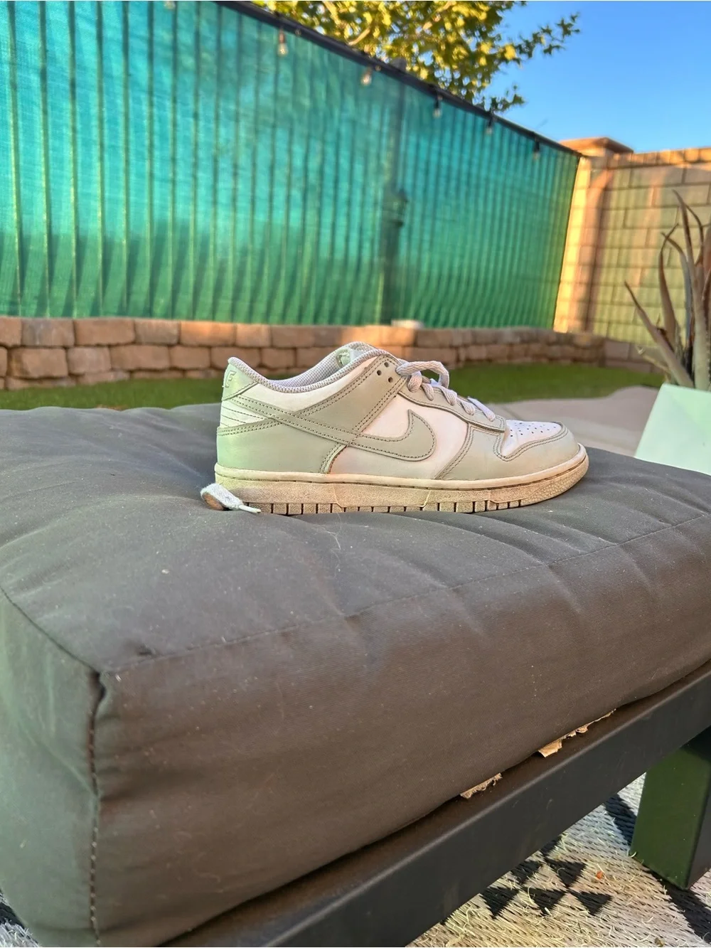 Nike Men’s Low-Top Sneakers in Sage Green and Cream